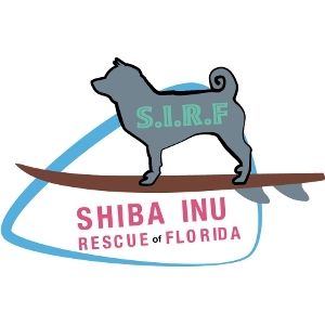 SIRFlorida's profile picture. We save Shiba Inus in Florida that are in situations such as shelters and/or homes where they are not wanted.