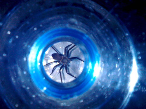 sandro_likesex's profile picture. chinese man looking for fun