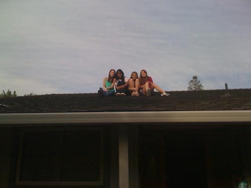 mel3597's profile picture. 