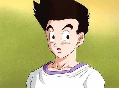 I am the son of Chi Chi and Goku best friend of trunks #single