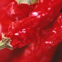 marcela padron - @MpadrodqPadron - Twitter