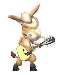 JoelAnd19107525's profile picture. I am a computer operator here at Amsterdam developing softwares on contract basis