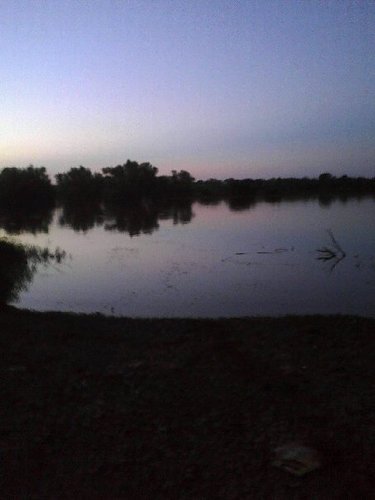 LoudandProud_6's profile picture. Fraternity man, nature freak.