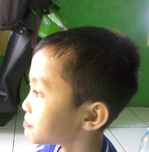 sutrisno