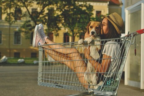 WEARETEENERS_'s profile picture. ja, wij zijn tieners. ♔ follow voor tiener, quotes, en grappige tweets! ♔