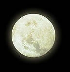 Moon_eroom's profile picture. 礼金なしの物件を中心に賃貸物件をご紹介。