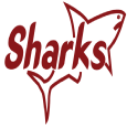 Kariobangi Sharks FC