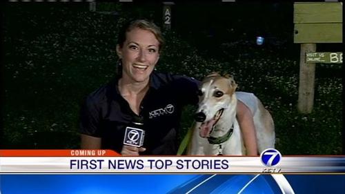 ErinNat_KETV's profile picture. General Assignment Reporter for KETV NewsWatch 7 in Omaha, NE