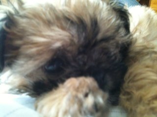 IkGitaar's profile picture. 