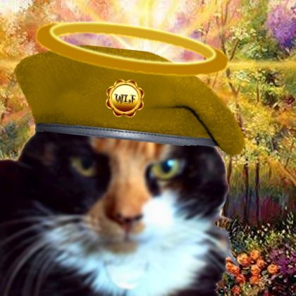 Ex Dundee stray. Found loving home moved to Cornwall. OTRB 11/7/12 leaving family & #wlf bereft. Not intending to RIP *FIRM STARE*