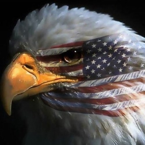 Marcjlevine's profile picture. Marc Levine is the Senior Geospatial Analyst at USGS. Tweets and retweets  from this account do not constitue agreement from this government agency.