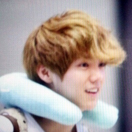 สวัสดีครับ ผมลู่หานเอ็กโซ ♥ l 272121543 :)