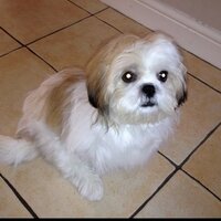 aideen farren (@aideencf) 's Twitter Profile