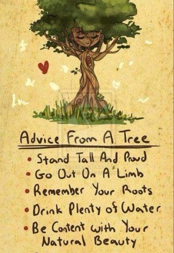 Arborist and Teacher