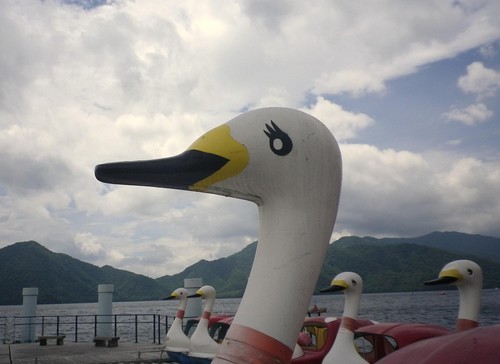 乗り物好きのだめ社会人