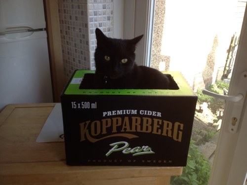 murphywowrob's profile picture. born in medway 1980, moved to whitstable in 2007 to get away from ny demons and have been happy ever since