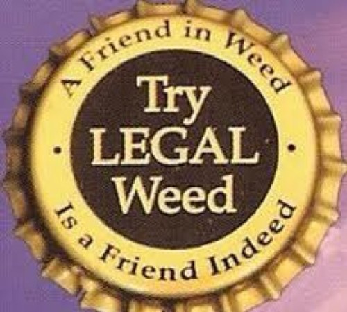 KushMagic's profile picture. i sell Herbal Spice