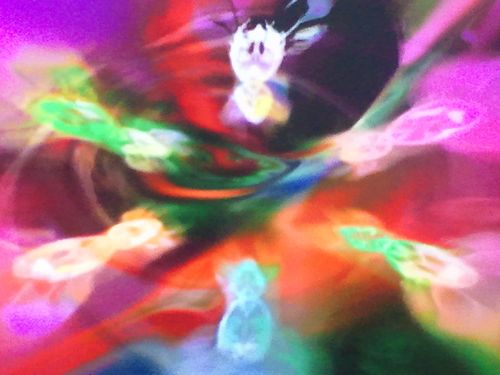 celokenmania's profile picture. 