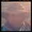 SirEricScoTT's profile image