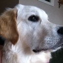 Alan Beddoe - @vindaloony - Twitter