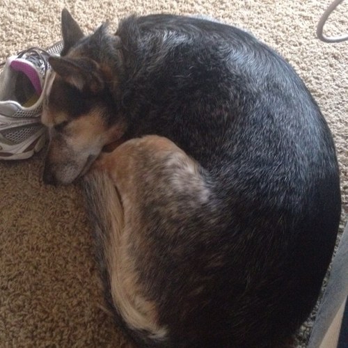 texasmidge's profile picture. 