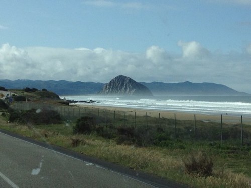 theslverfox's profile picture. 