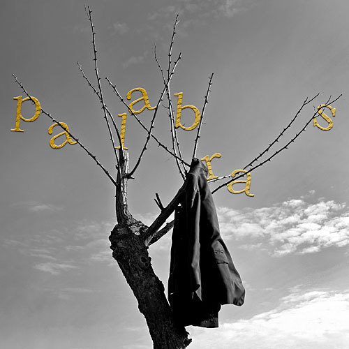 Mmagicwords's profile picture. Las palabras son libres y por eso las digo.