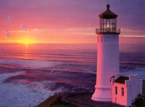 michellefett's profile picture. 