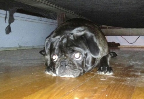 tkremey's profile picture. 