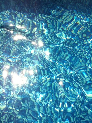 davidenFL's profile picture. making my way through life...18+ photos