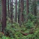 Humboldt Solutions - @ShaneBlackwell2 - Twitter