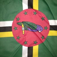 anne ettienne (@dominca1) 's Twitter Profile