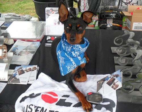 I love ultra triathlons, running and cycling. I am a Scuba Instructor, RRCA running coach and Master swim coach. .