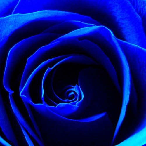 DestiniDestini7's profile picture. 