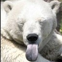 Ben Doughty - @BenBertfish - Twitter