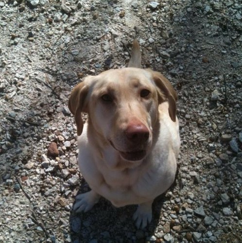 emj628's profile picture. I'm mom to crazy twin boys, I can't function without being around horses, I love my hubby and I love to eat and cook!