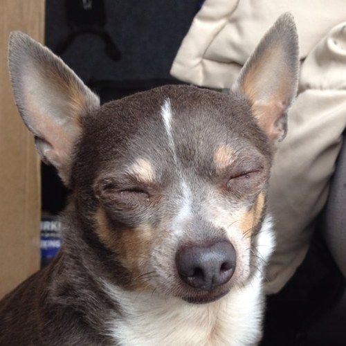 JoeBinatena's profile picture. 