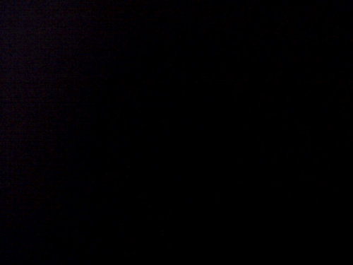 ysitedigoque's profile picture. 