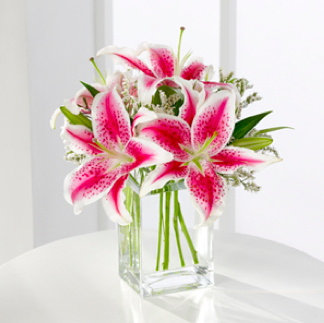 Collins Funeral Home, Local Business, Scottsburg IN, Since 1969