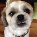 James roger Ralston - @ralston_roger - Twitter