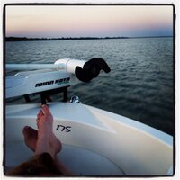 Mindy Dolly (@mindydolly) 's Twitter Profile