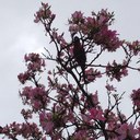 Fiona Bush - @fi_bush - Twitter