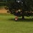Loa1313's profile image