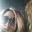bluevdahlia's profile image