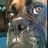 bignut28's profile image