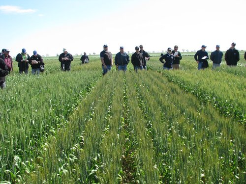 The Western Australian No-Tillage Farmers Association (WANTFA) is driving adoption of sustainable and profitable broad acre cropping systems in WA.