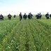 WANTFA (@wantfa_farming) Twitter profile photo WANTFA (@wantfa_farming) Twitter profile photo
