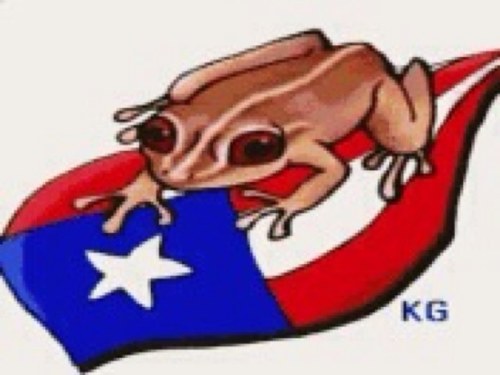 alexrotor59's profile picture. 