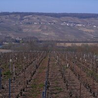 Champagne Tourism (@champagnetouris) 's Twitter Profile
