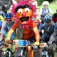 Rotorua Events (@rotoruaevents) 's Twitter Profile